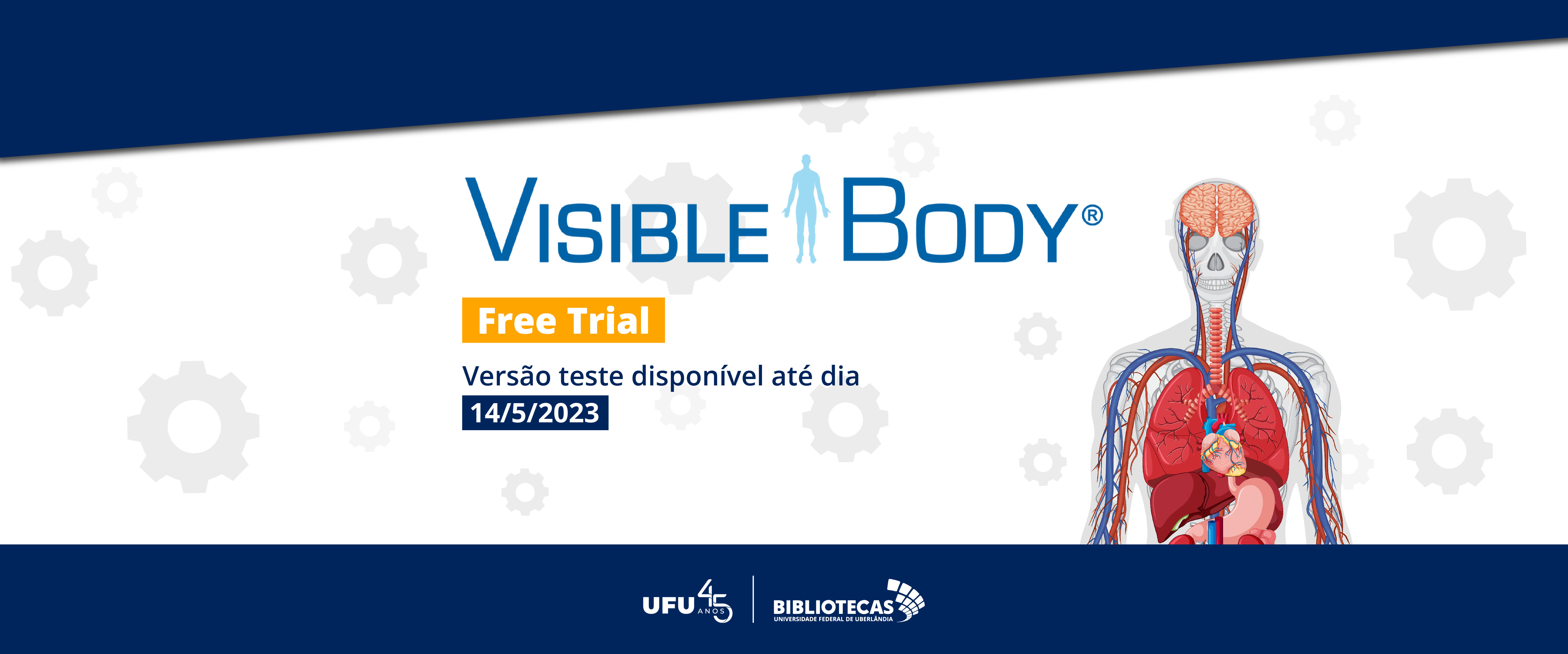 Visible Body: base de dados da área da saúde